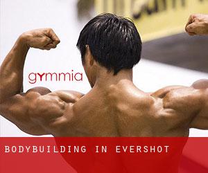 BodyBuilding in Evershot