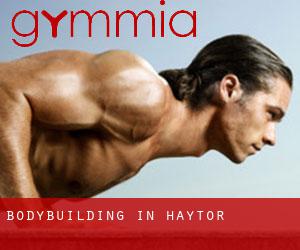 BodyBuilding in Haytor