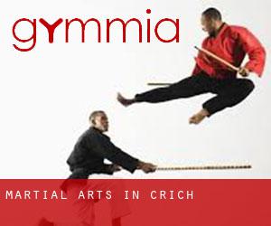 Martial Arts in Crich