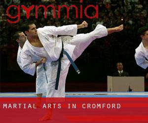 Martial Arts in Cromford