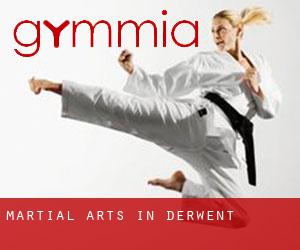 Martial Arts in Derwent