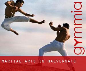 Martial Arts in Halvergate