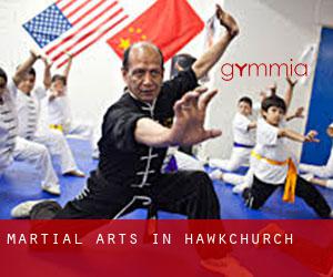 Martial Arts in Hawkchurch