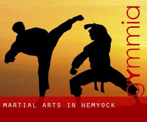 Martial Arts in Hemyock