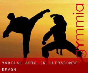 Martial Arts in Ilfracombe, Devon