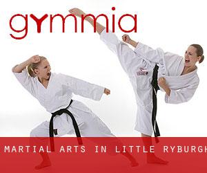 Martial Arts in Little Ryburgh