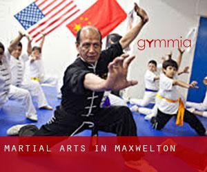 Martial Arts in Maxwelton