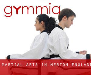 Martial Arts in Merton (England)