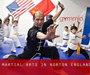 Martial Arts in Norton (England)