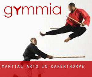 Martial Arts in Oakerthorpe