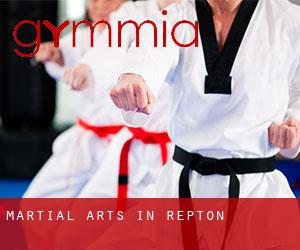 Martial Arts in Repton