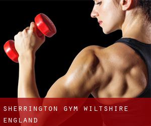 Sherrington gym (Wiltshire, England)